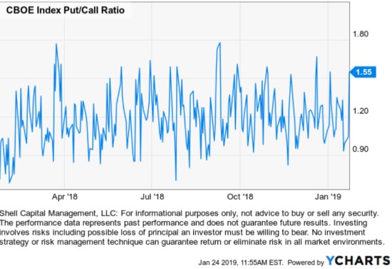 cboe index put:call ratio asymmetric hedging